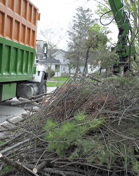 Brush Pickup