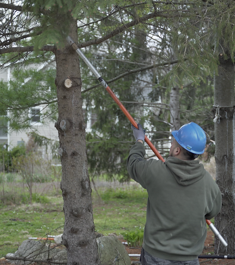 Tree Pruning