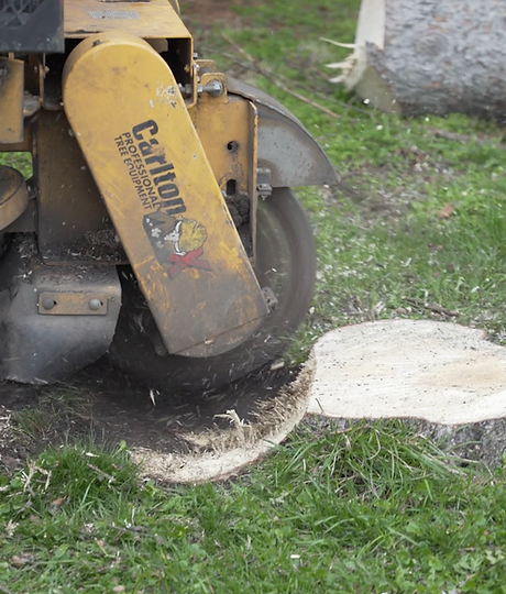 Benefits of Stump Grinding